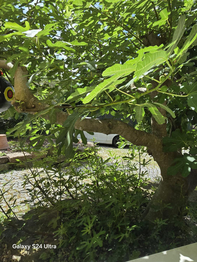 Others 2, chambre privative au rez de jardin dans villa, Bas-Rhin