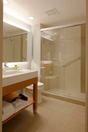 Bathroom 4, Hyatt Place Florence Downtown, Florence