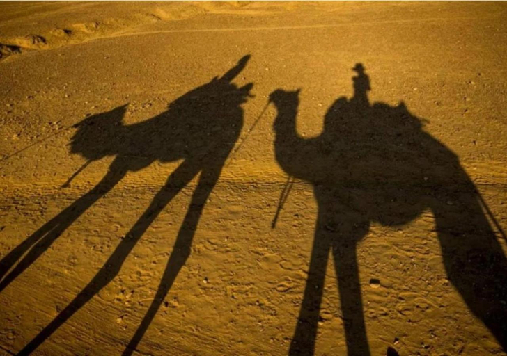 Others 4, Hotel Oasis Haveli, Jaisalmer