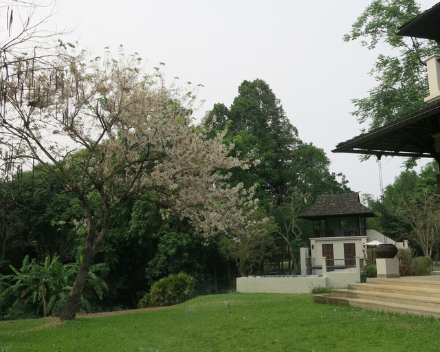 Others 3, Suan Kaew Park, Mae Rim