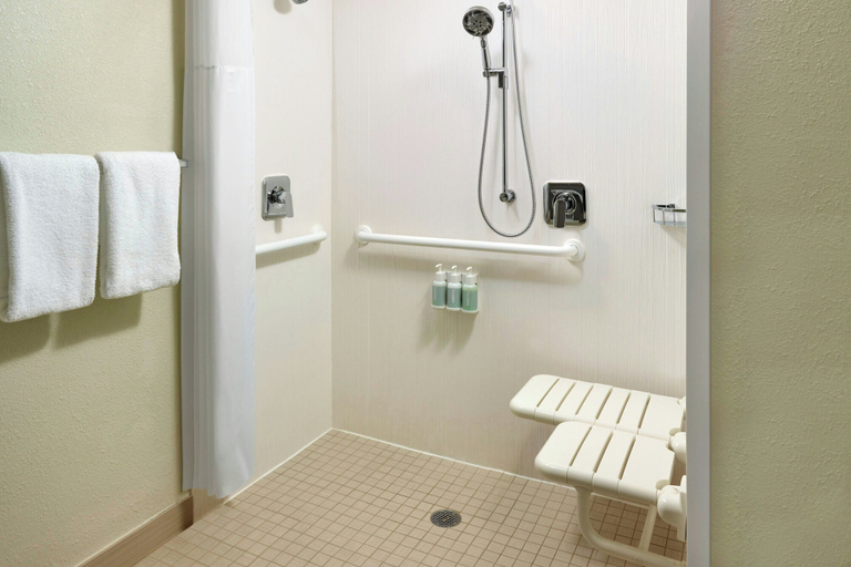 Bathroom 4, Courtyard by Marriott Toledo Rossford/Perrysburg, Wood