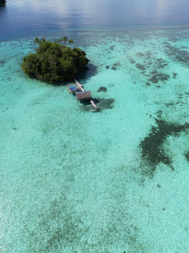 Others 5, Friwen Mangrove Eco Lodge, Raja Ampat