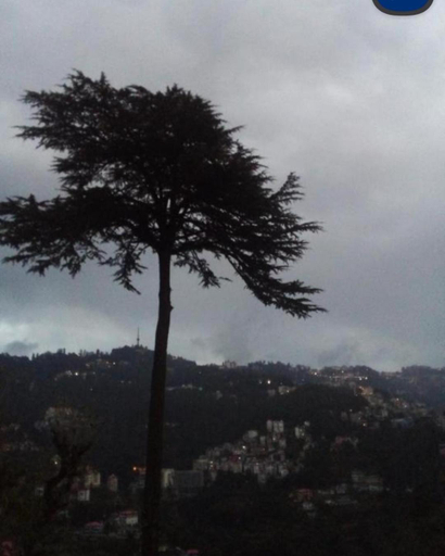 Others 3, Keshav Niwas Homestay, Shimla