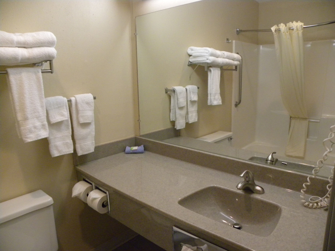 Bathroom 4, New Victorian Inn and Suites, Buffalo