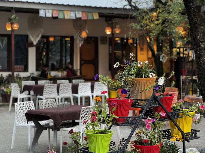 Food & Drinks 3, The Royal Orchard Kasol, Kullu