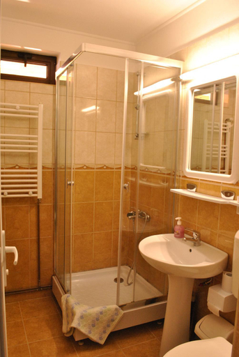 Bathroom, Pensiunea Ruxi, Curtea De Arges