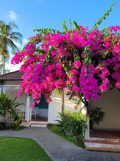 Others 4, Philip Bungalow, Phú Quốc