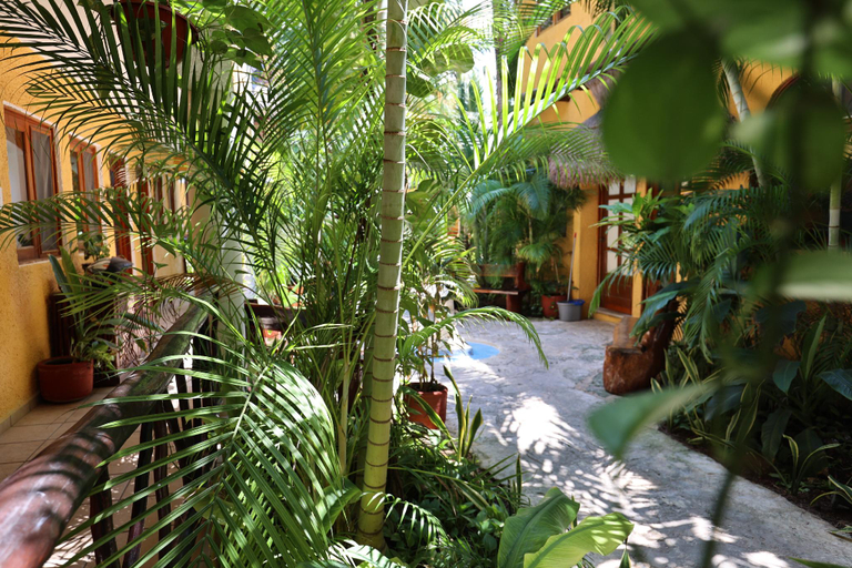 Others 5, Hotel Bosque Caribe, 5th Av. Zone , Cozumel