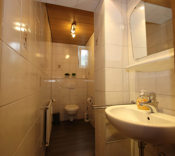 Bathroom 4, Apartment in Altenau Near Harz Mountains, Goslar