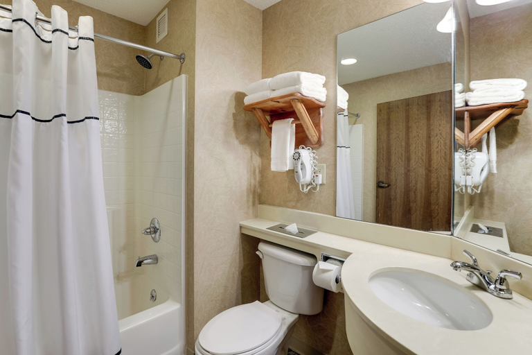 Bathroom 4, Stoney Creek Hotel St. Joseph, Buchanan
