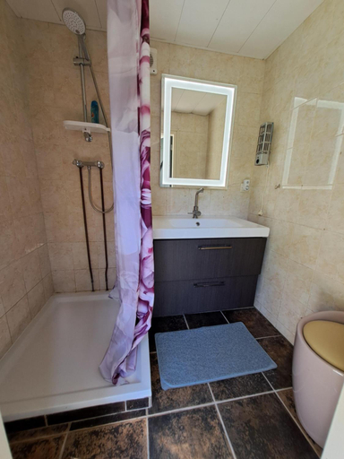 Bathroom, B&B Uit de Kunst PEER, Onderbanken
