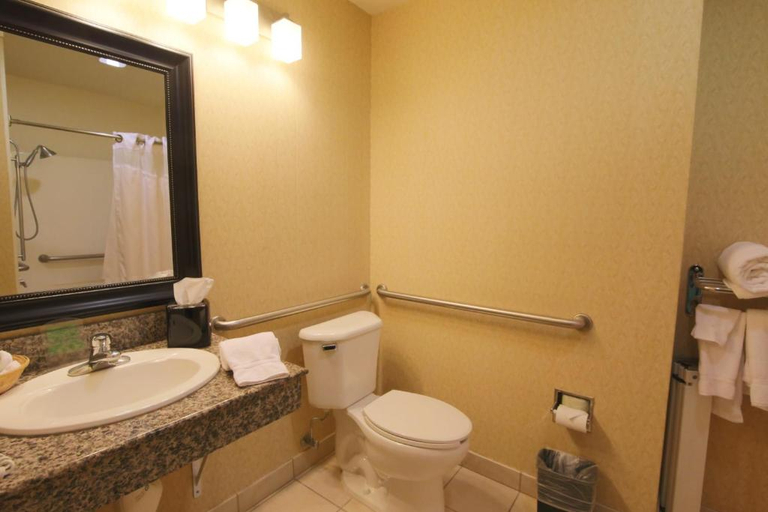 Bathroom 5, Hampton Inn & Suites Cathedral City, Riverside