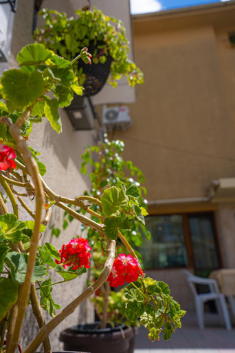 2, AR Luxury VIP Apartments Ravda, Nesebar