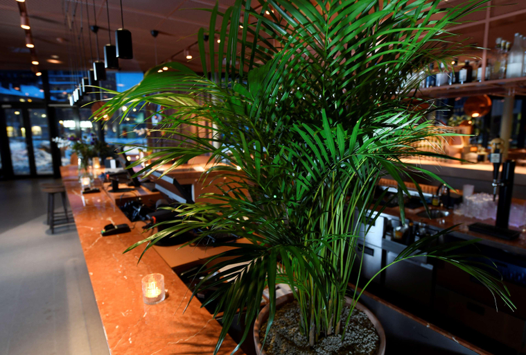 Public Area 3, Best Western Plus Grow Hotel, Sundbyberg