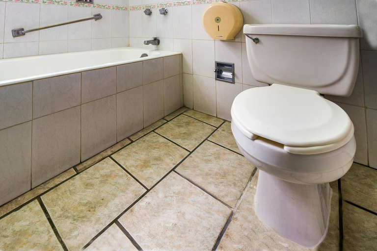 Bathroom 4, Hotel Canada, Guadalajara