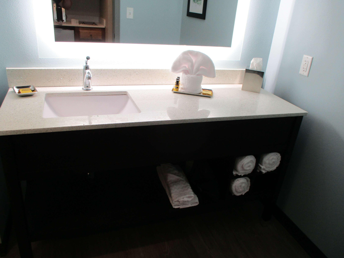 Bathroom 4, Best Western Plus Executive Residency Marion, Crittenden