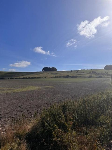 Others 5, The Laurels Retreat, Wiltshire