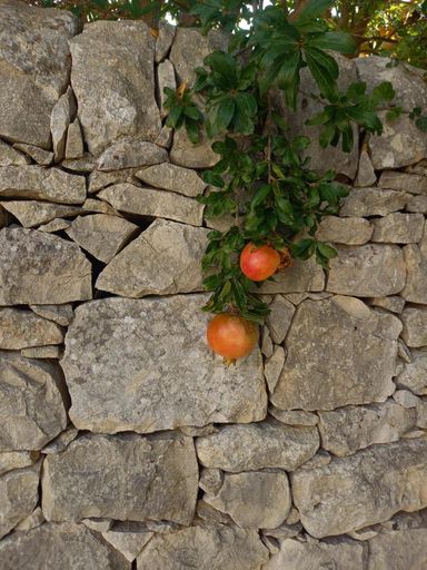 Others 5, AgriturismoBugilfezza di TGESD, Ragusa
