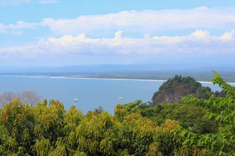 Others 4, Mi Zaru Sea View Animal Paradise, Aguirre