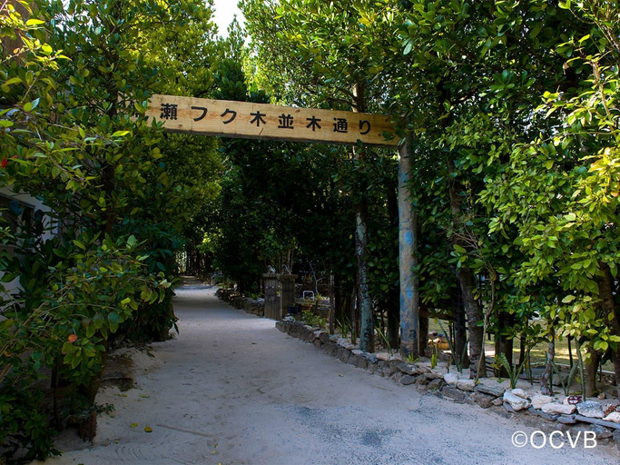 Others 5, HOTEL Progress inn Nago MATABee, Nago