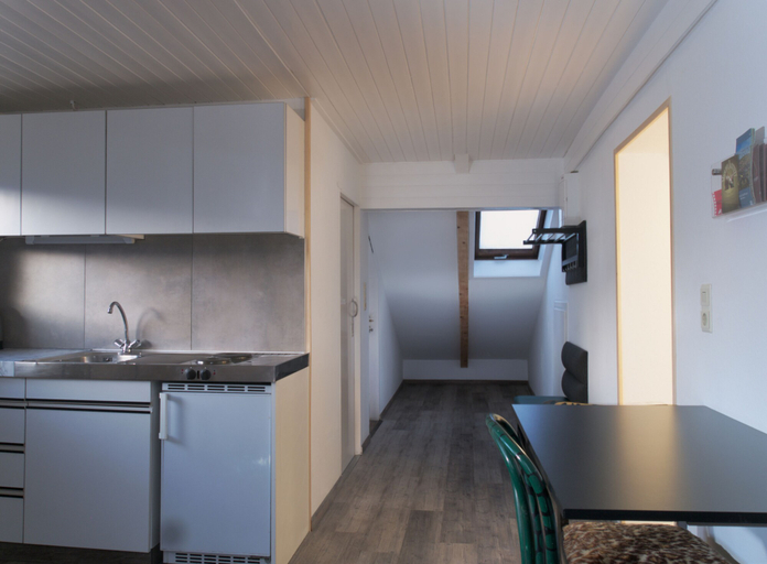 Private kitchen, Apartment - Sleeps 3 - Balcony - Garden, Feldkirch