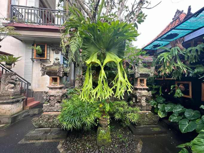 Exterior & Views, Naeera Guest House, Gianyar