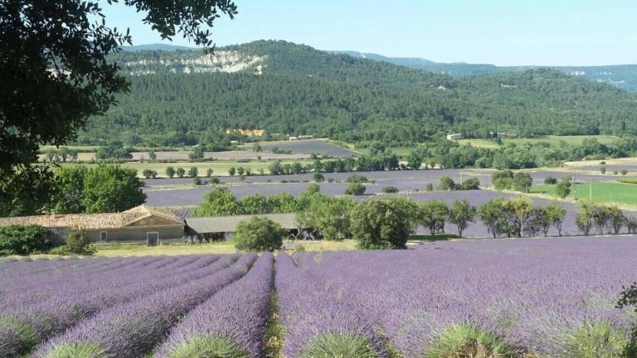 Others 5, Chambre privee independante au cœur du Luberon, Vaucluse