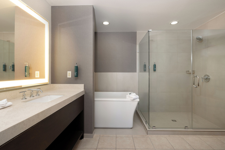 Bathroom 4, Hilton Promenade at Branson Landing, Taney