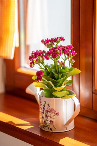 Others 3, Erdody Vendeghaz, Barcs