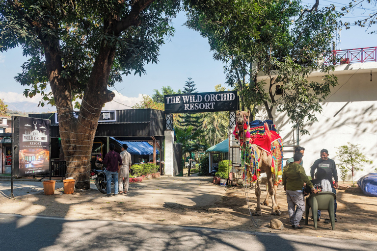 Exterior & Views 2, The Wild Orchid Resort, Nainital
