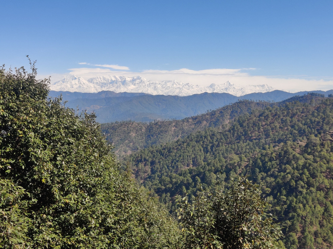 Others, Oakakhi Stays, Almora