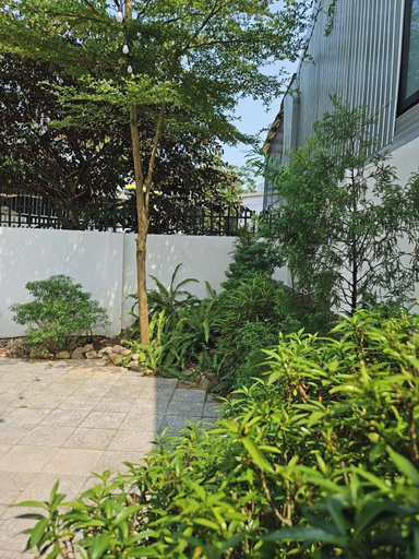 Others 5, Mit homestay, Huế