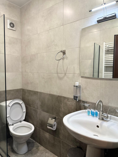 Bathroom 4, Hotel Axien Kazbegi, Kazbegi