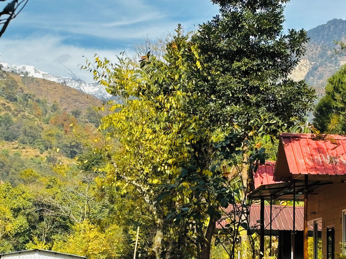 Exterior & Views 2, Vedant by the River - Chopta Gateway - By Himalayan Eco Lodges, Rudraprayag