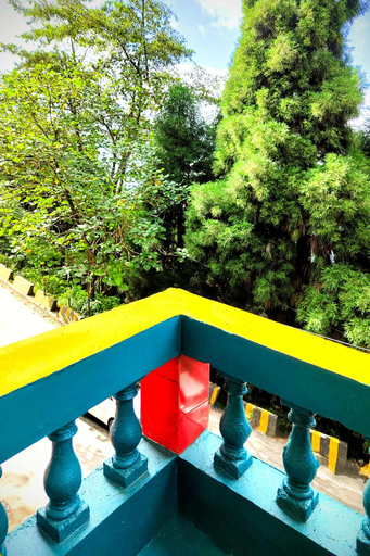 Sport & Beauty 2, Hidden Monkey Backpackers, Darjeeling, Batasia, Darjiling