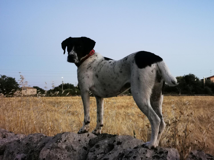 Others 2, In campagna al Mauto, Ragusa