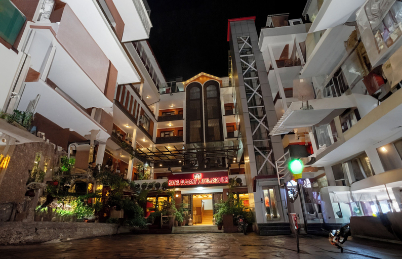Exterior & Views 2, Hotel Elegant Kathmandu Inn, Bagmati