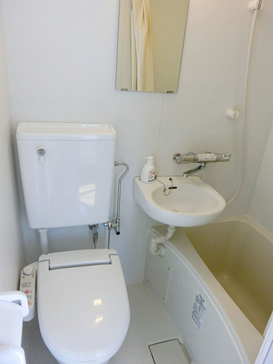 Bathroom 4, Tokyo Shinjyuku Tei Hotel Asahi group, Shinjuku