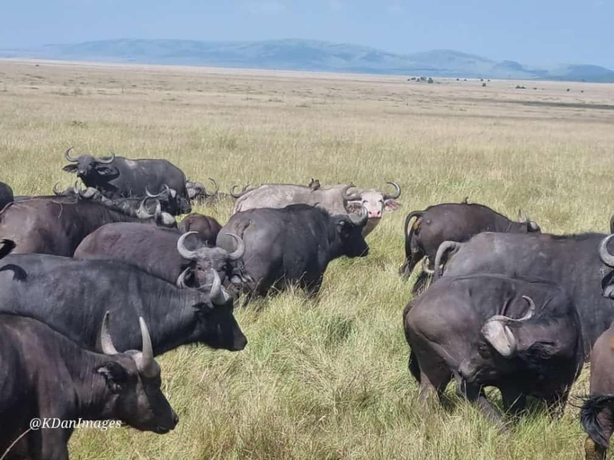 Others 4, KANUNKA HOUSE, Narok West