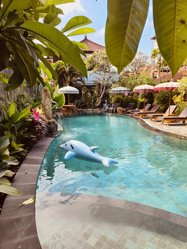 Swimming Pool 9