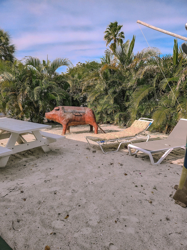 Others 4, Oasis Palms, Pinellas