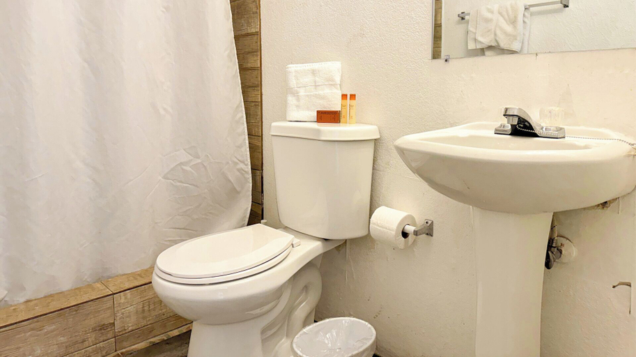Bathroom, Gladiolas 1207