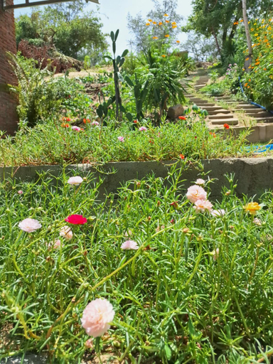 Scenery 10