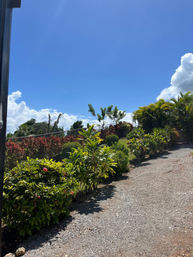 Garden 5, Villa Karolina, Santa Bárbara de Samaná