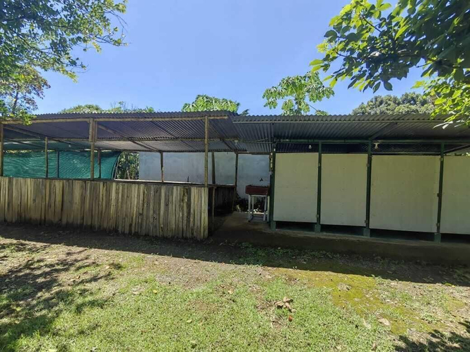 Exterior & Views, Zompopas Trail, Golfito