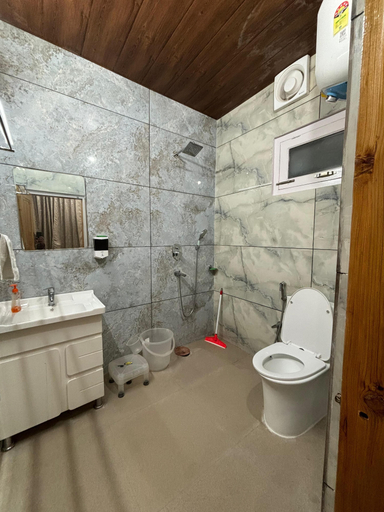 Bathroom 2, Vizvei, Shimla