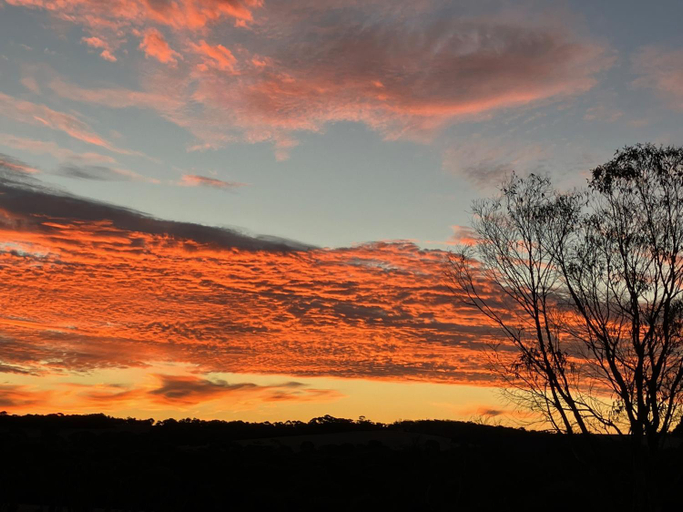 Others 5, Wedgetaildown, Kangaroo Island