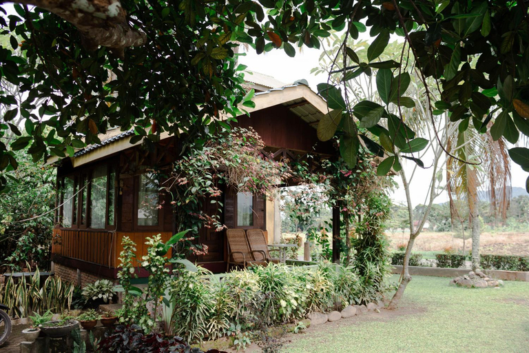 Scenery 6