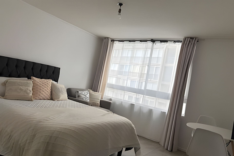 Others 4, Hermoso estudio en Santiago, Cordillera