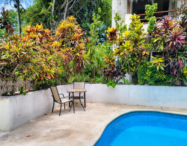 Sport & Beauty 4, Hotel & Suites Oasis Bacalar, Othón P. Blanco